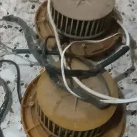 فن هود سالم