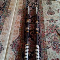 لنسر ماهیگیری