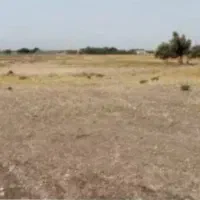 زمین لاور ساحلی پلاک اول دریا