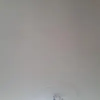 متقاضی خانه اجاره ای هستم