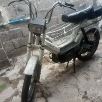 براوو فروشی