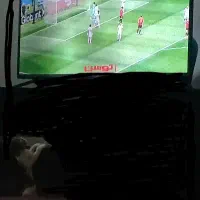 تلویزیون هیمالیا ۴۳