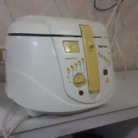 سرخ کن  وپلو پز فروشی