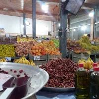 ۵ نیروی کار جوان در میوه فروشی
