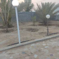 پاکسازی باغ و باغ شهری ، غرس نهال
