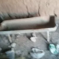 اخور‌گوسفند
