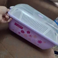 سبد نون و سبزی