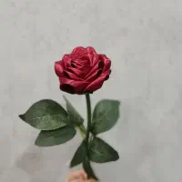 گل شاخه ای روبانی
