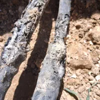 عیب یاب کابل