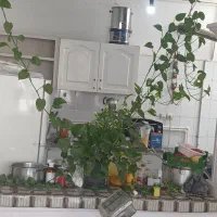 منزل-اجاره-ای-کشمیری-36