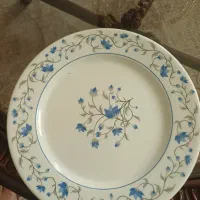 بشقاب پلو خوری