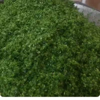 عرضه سبزیجات نیشابور به مشهد