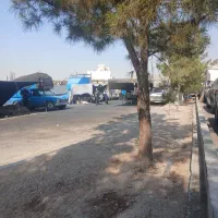 فروشنده خانم برای بازار روز در محیط روباز