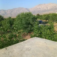 استخدام کارگر باغ با تجربه