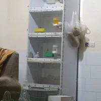 قفس mdf بزرگ شیک