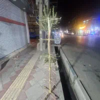 رگال خورشیدی