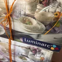 سرویس ارکوپال اصل فرانسه