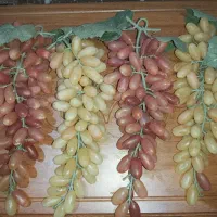 انگور دکوری چهار خوشه