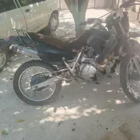 موتور