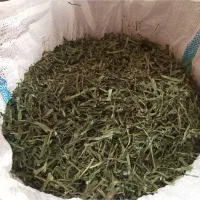 تره خشک خانگی بفروش میرسد کیلو۵۰۰