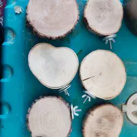 چوب کالباسی مناسب قفس طوطی سانان