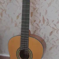 گیتار نوی نو best fun