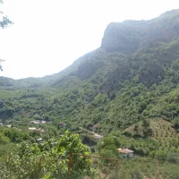 ویلا اجاره