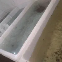 ماهی زبرا تعاونی