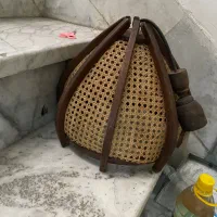 لوسترحصیری ولوسترسه شاخه