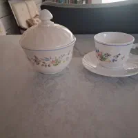 فنجان و نعلبکی آرکوپال