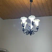 لوستر