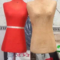 دو عدد مانکن