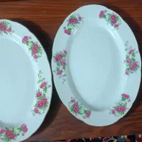 دیس برنجی ژاپنی نو
