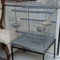 قفس کاسکو