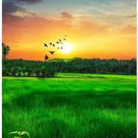 فروش ۱۱۰ هکتار زمین کشاورزی نزدیک شهر زنجان