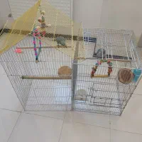 دو عدد راهب