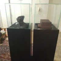 ویترین ایستاده