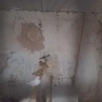 فنج