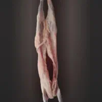 گوشت بره کشتارامروز