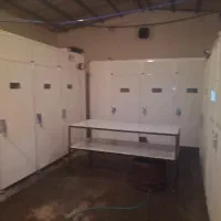 دستگاه جوجه کشی طیور جویبار