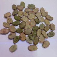 باقلا طارم