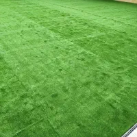 چمن مصنوعی. دیوار سبز. فنس رشته ای و فنس برگ ریحون