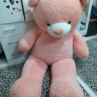 خرس خیلی بزرگ