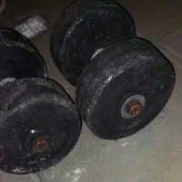 دو عدد دمبل آهنی ۲۰ کیلویی