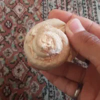 فسیل حلزون
