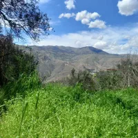 فروش ۳۰۰ متر باغ ویودار با ۵۶ متر بنا،آب، برق، گاز