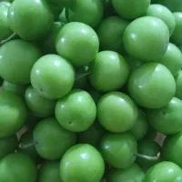 میوه گوجه سبز