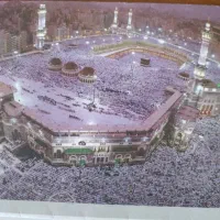 یک عدد فیش عمره مفرده