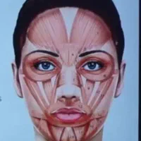 آموزش اختصاصی ژل و بوتاکس