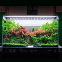 آکواریوم شیشه خم شرکتی کریستالی با ابعاد متنوع|ماهی|ملارد, |دیوار